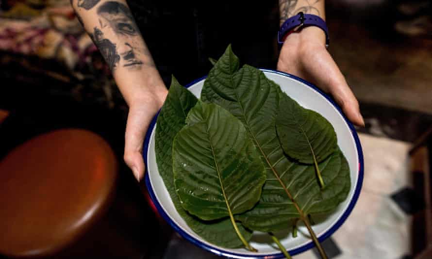 Kratom leaves at Teens of Thailand