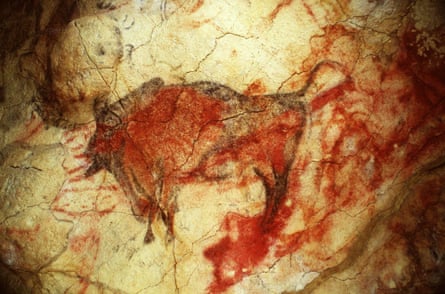 A painting of a bison, believed to be tens of thousands of years old, in Altamira cave.
