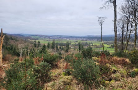 A view across the Kirkennan estate, Castle Douglas.