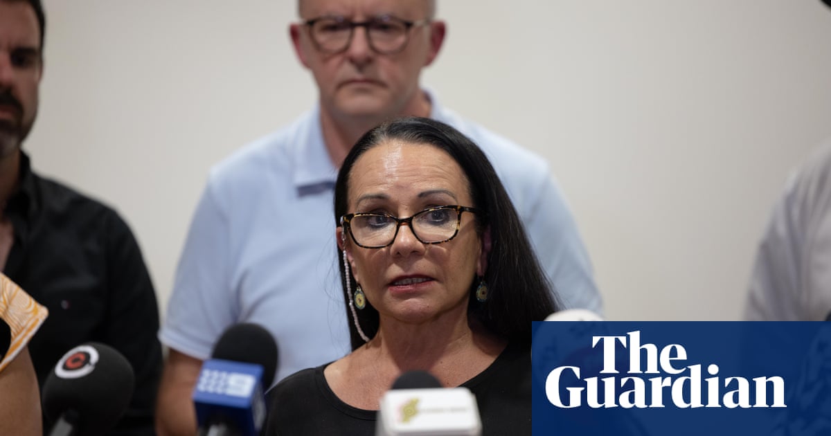 Linda Burney says Indigenous voice would have prevented Alice Springs crisis