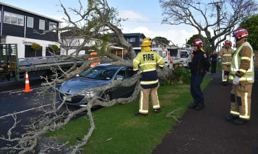 Дерево упало на автомобиль в пригороде Сент-Хельерс в Окленде.