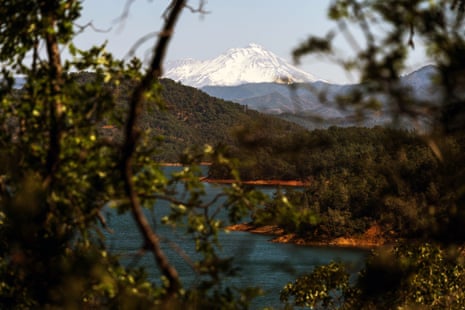 mountain and body of water as seen through tree branches