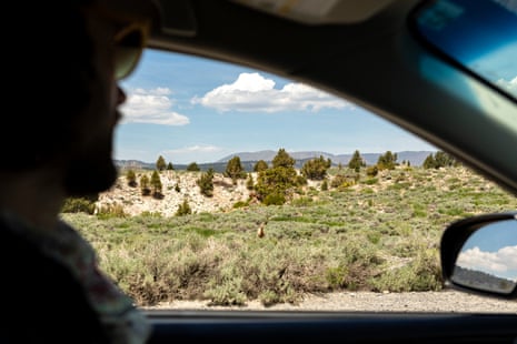 A deer stares back at Rob Stone as he looks out at the wild landscapes on view out of the car window on the 395 Highway.