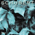 Schubert piano works artwork