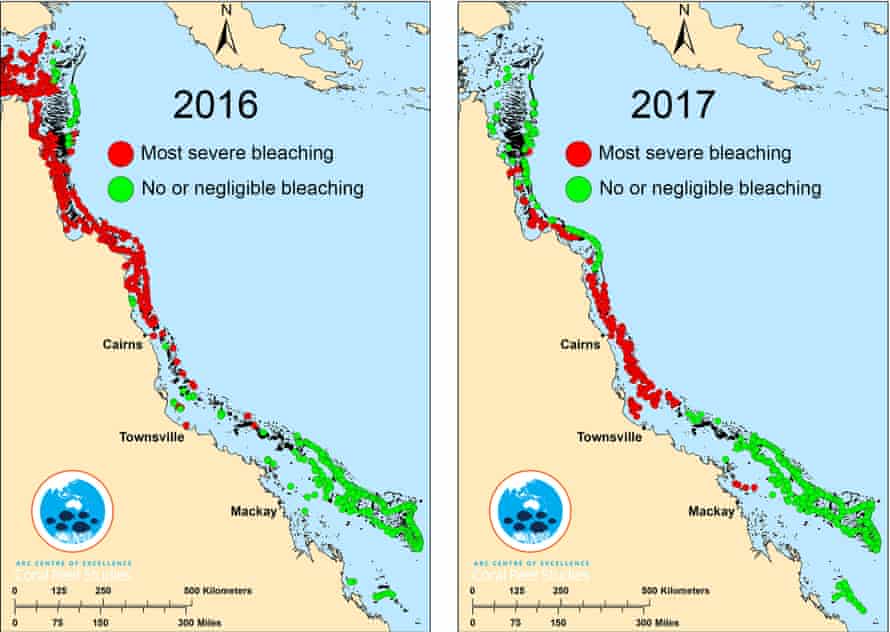 2016-2017 GBR bleaching map of the Great Barrier Reef. Australia.