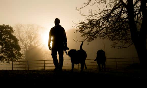 Man walking his dogs in the early morning