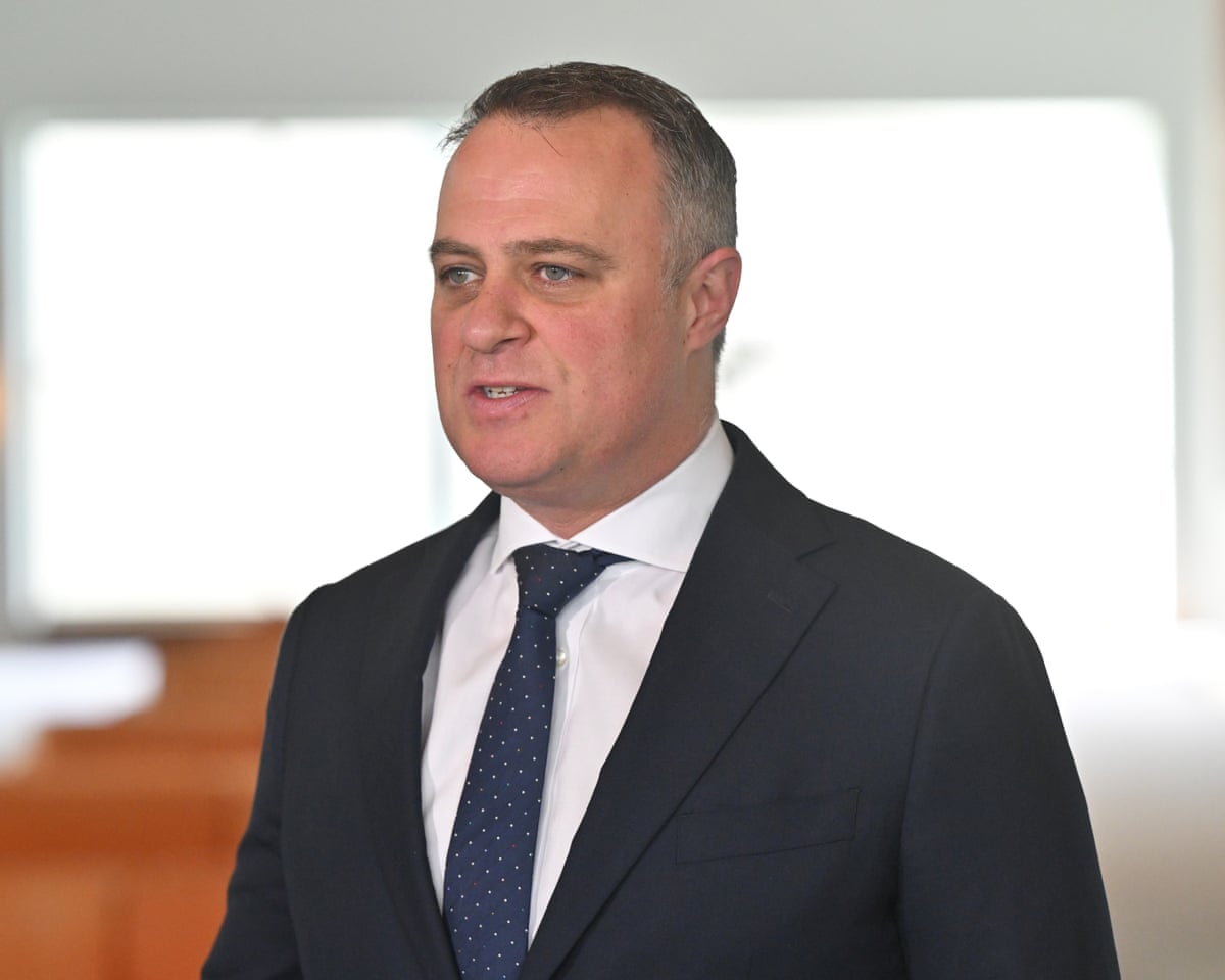 Shadow treasurer Tim Wilson