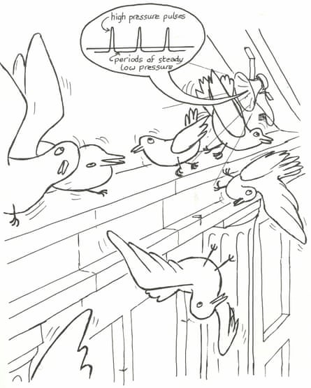 David Jones produced this cartoon to illustrate his ‘invention’ of audible vertigo. He captioned it: ‘Vertigosound could clear public buildings humanely of starlings, pigeons etc, by making the birds overbalance from the narrow ledges.’