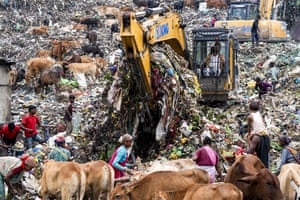 excavators and people and cows among rubbish