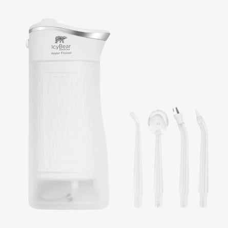 Icy Bear Water Flosser