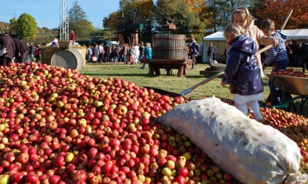 A huge pile of rosy-red apples at a fete