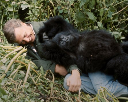 Told by David Attenborough.