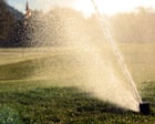 One in 12 golf clubs in England broke water extraction rules in past five years