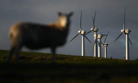 Sheep and wind turbines at Llandinam, Powys.