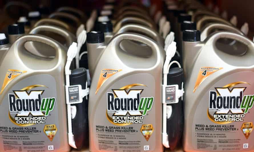 L'analyse arrive à un moment critique alors que Bayer demande aux régulateurs européens de réautoriser le glyphosate avant l'expiration de l'approbation l'année prochaine.