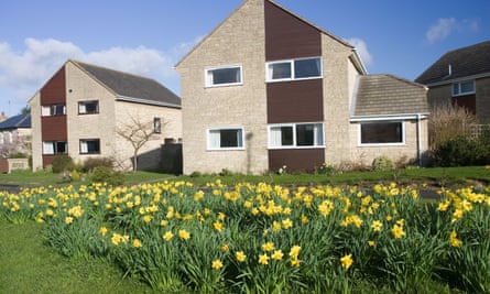 New houses and daffodils