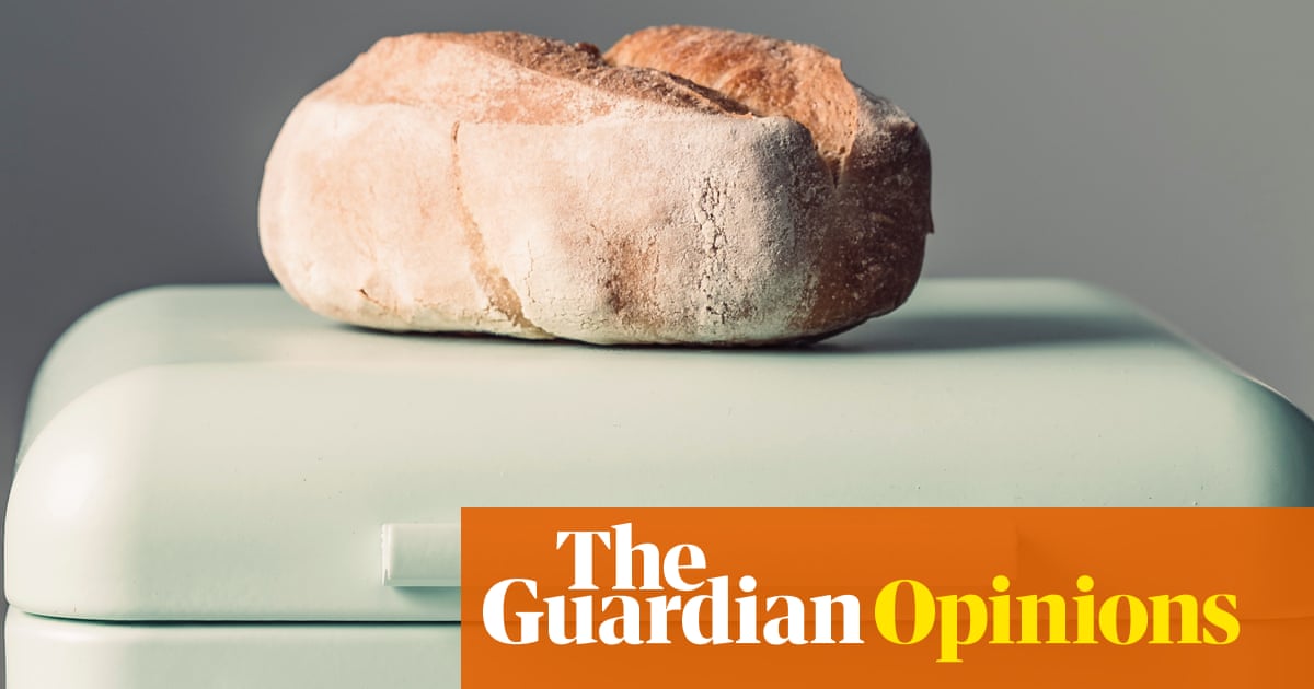 It's two years since the kids left. Here's what I've learned and what has surprised me | Emma Beddington