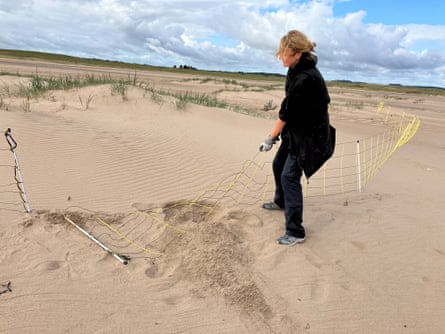 Woman on a sand dune working with a netting fence.