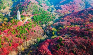 Autumnal foliage colours create a vibrant tapestry in Jinan, east China