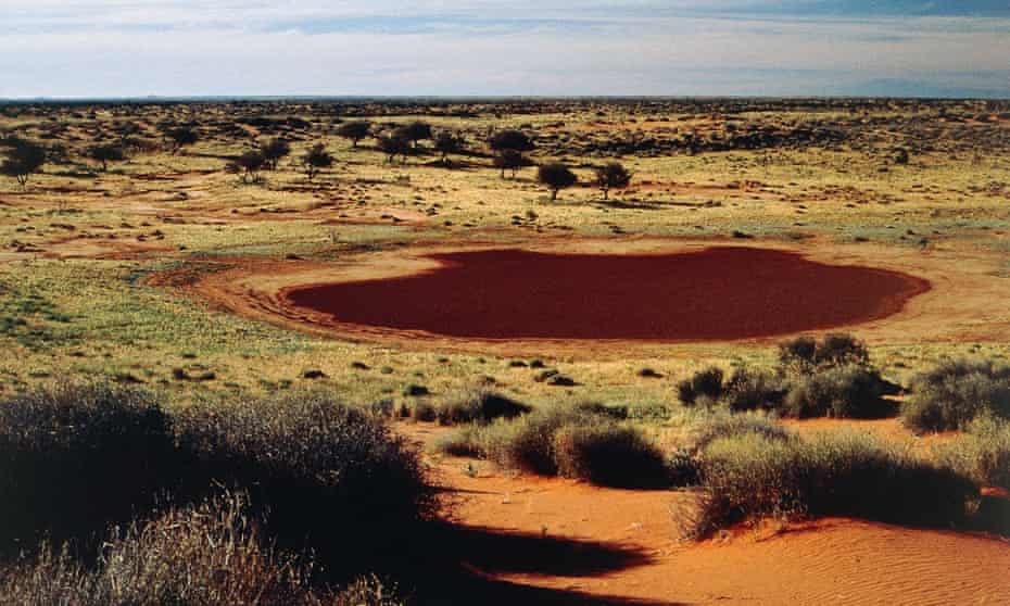 Marsh, Simpson Desert, Queensland, Australia