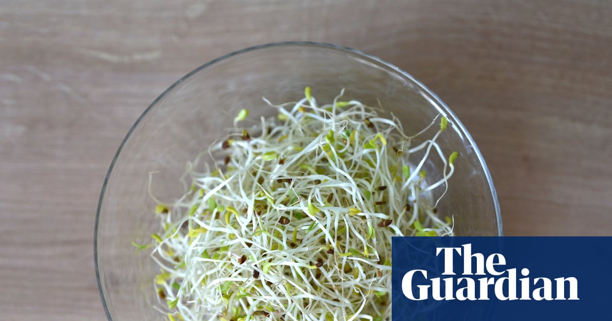 Alfalfa sprouts linked to food-poisoning outbreak in 15 states, US officials say Alfalfa sprouts linked to food-poisoning outbreak in 15 states, US officials say