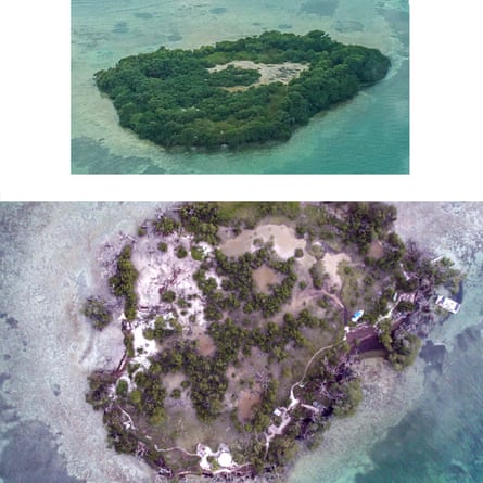 Molasses Key in 2017 before Hurricane Irma hit and recent shots showing loss of vegetation