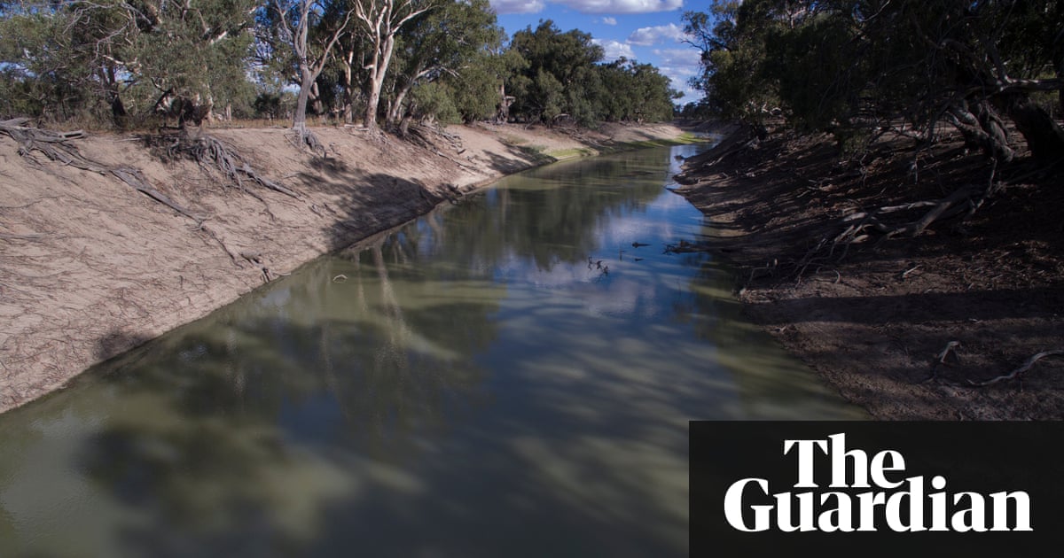 High court asked to block SA royal commission from calling witnesses