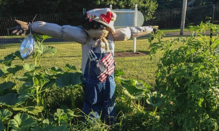 Jasper the scarecrow at Watson’s fellowship garden in Orange, Connecticut