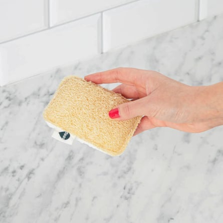 SEEP Sponge Scourer.