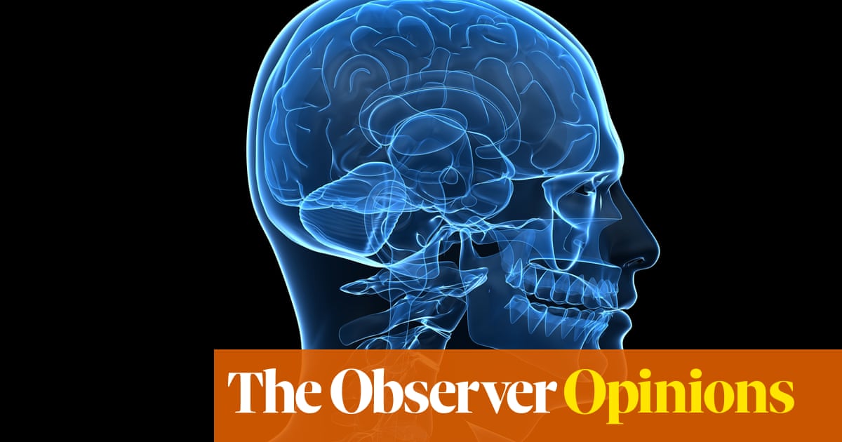 IQs are on the rise, but we don’t need hard facts any more | Torsten Bell