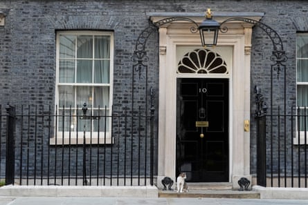 Larry, an elderly tabby and white cat, sits on the stone step in front of No 10’s grand black door.
