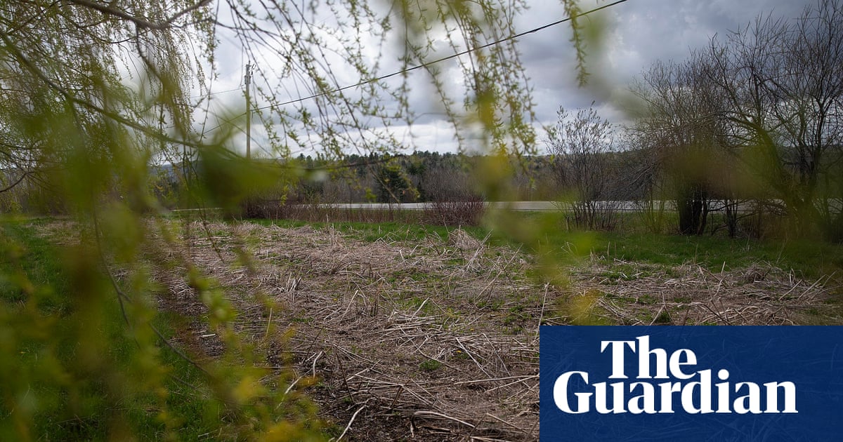 The unlikely alliance pressing Trump to regulate Pfas on US farms: ‘This is a basic human right’