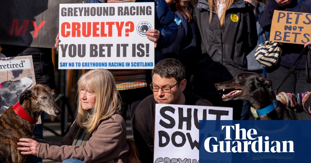 Keir Starmer urged to ban ‘cruel’ greyhound racing in England