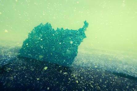Peeling blue paint in murky green water.