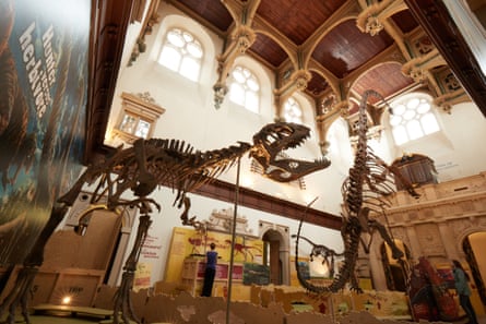Mamenchisaurus being hunted by Sinraptor in the Great Hall of Wollaton Hall, Nottingham Natural History Museum.