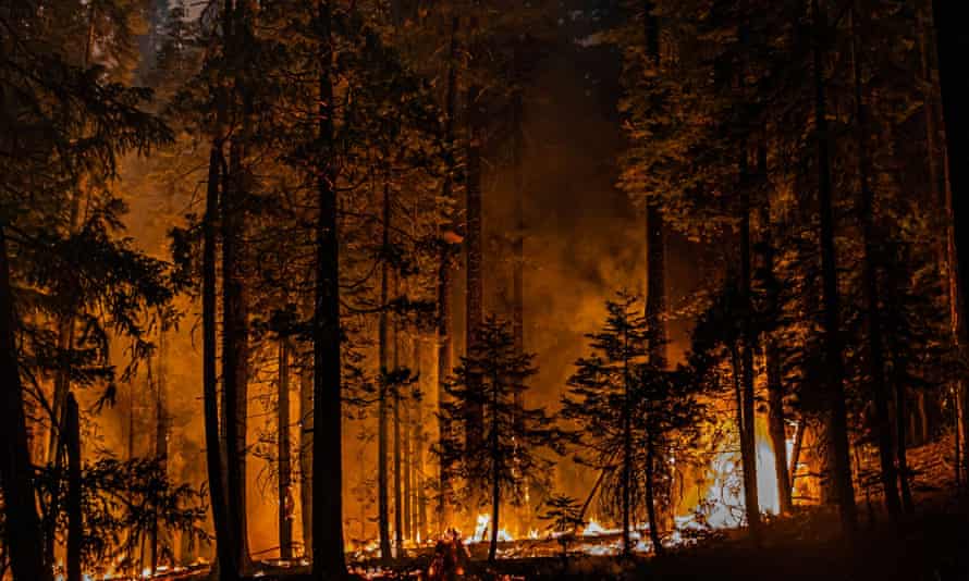 California’s Caldor fire jumped Highway 50 as crews continue to battle blaze that has grown to more than 154 sq miles with no containment.