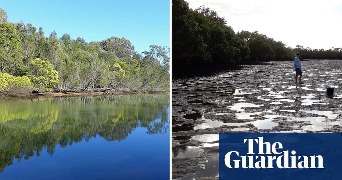 Contaminated water from Gold Coast luxury estate adds to wetland 'catastrophe' - The Guardian