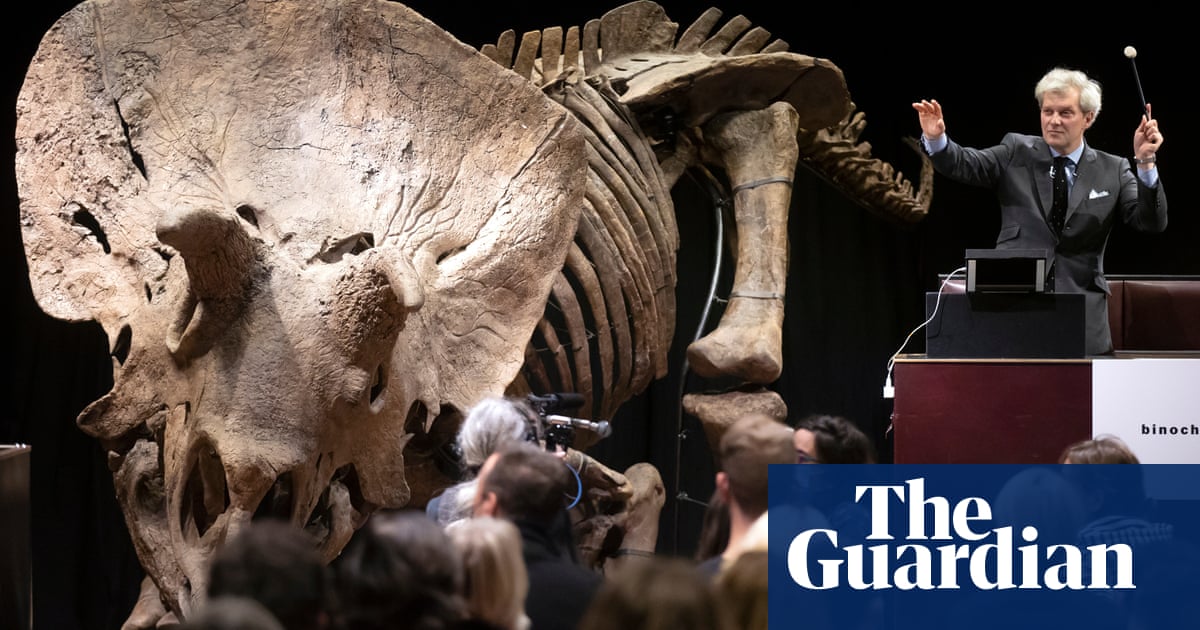 Largest triceratops ever unearthed sold for €6.6m at Paris auction