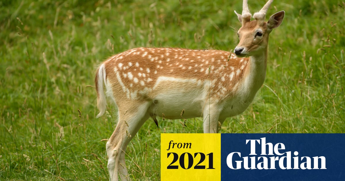 Wildlife and livestock a risk ...