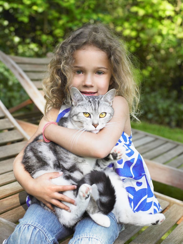 How Do You Know Your Cat Loves You Let Me Count 25 Ways Fay Schopen Opinion The Guardian