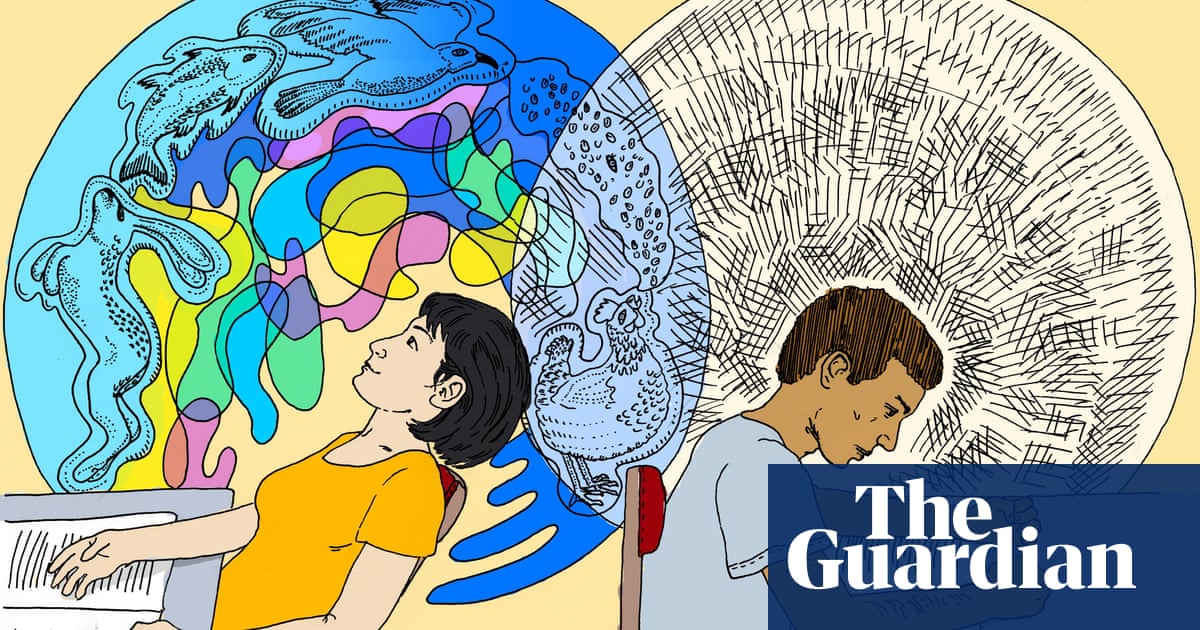 If You Can T Imagine Things How Can You Learn Students The Guardian If You Can T Imagine Things How Can You Learn Students The Guardian