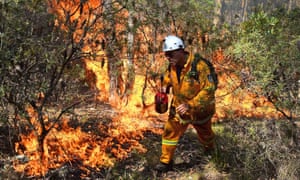 A bushfire
