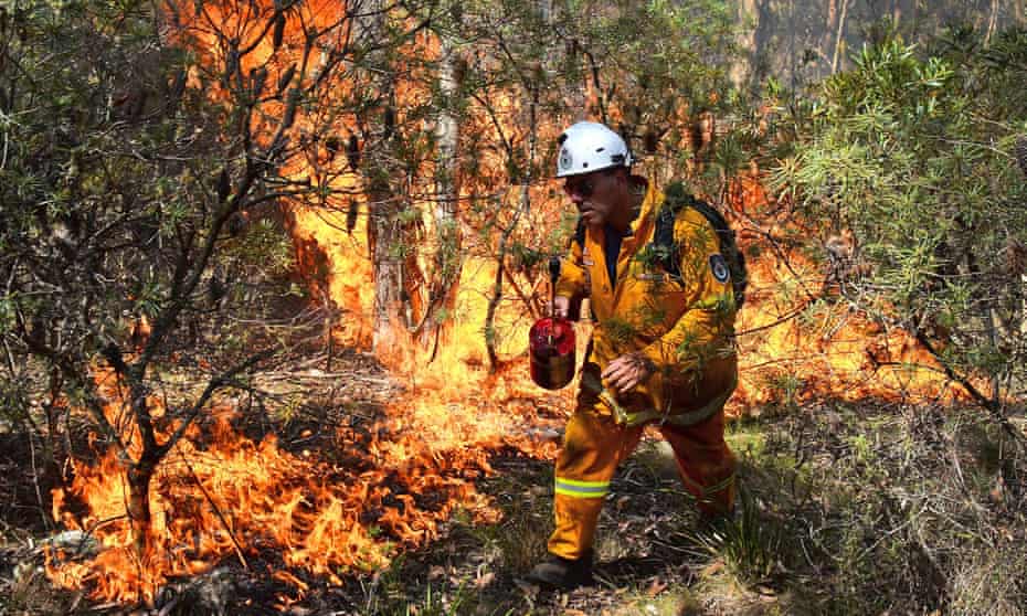 a firefighter lighting a back burn near Mount Victoria in the Blue Mountains.