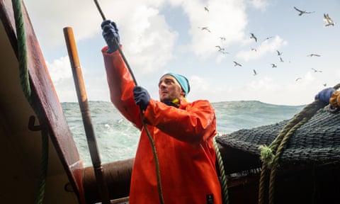 Robert Vimba works on deck as gannets swoop overhead