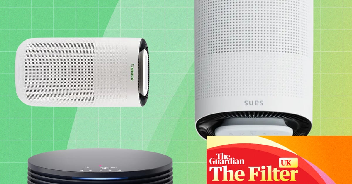 The best air purifiers in the UK to cleanse your home of fumes, pollen and dust – tested | Health & wellbeing The best air purifiers in the UK to cleanse your home of fumes, pollen and dust – tested | Health & wellbeing
