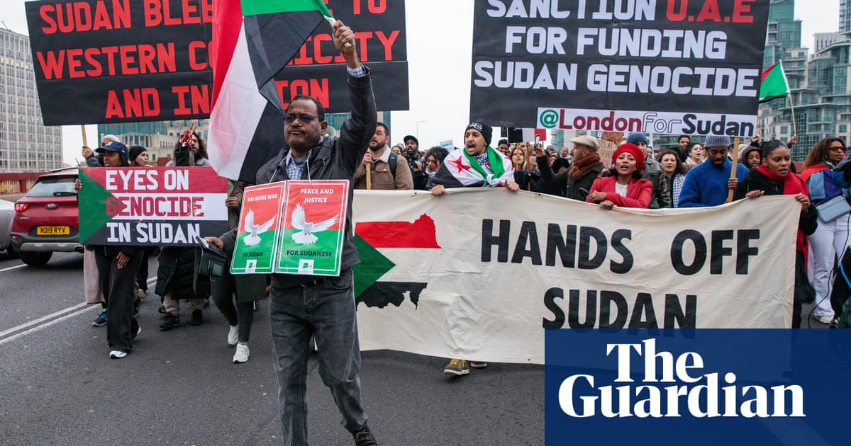 Leaked UN experts report raises fresh concerns over UAE's role in Sudan war