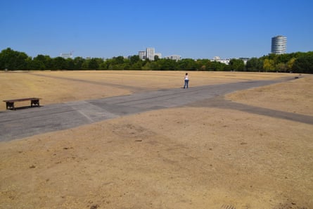 Hyde Park as London and south-east England suffer drought conditions in August 2026.