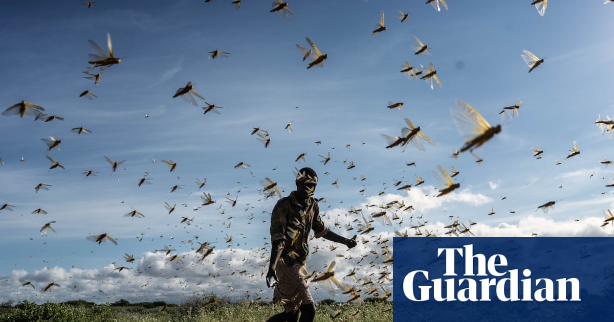 How the speed of climate change is unbalancing the insect world  |  | The Guardian