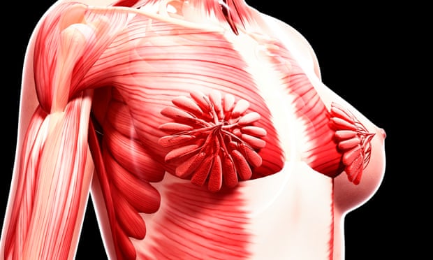 How a viral image of breasts exposes science's obsession with the