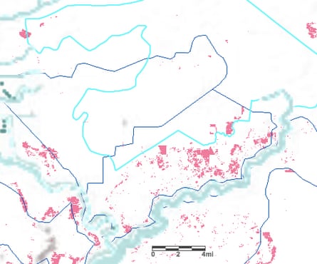 A concession in Indonesia’s West Kalimantan owned by pulpwood company Daya Tani Kalbar (APP supplier) drawn in light blue. The overlapping dark blue concessions operated by palm oil company Gerbang Benua Raya. Pink patches are deforestation alerts triggered in the past three months and clearly show encroachment into the pulpwood concession.
